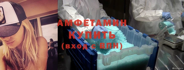 ГАЛЛЮЦИНОГЕННЫЕ ГРИБЫ Вязники