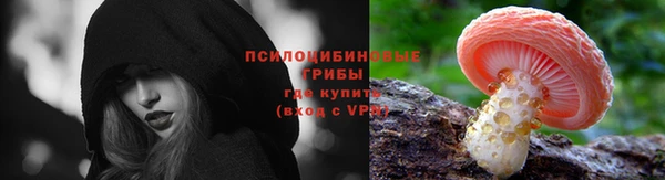 дмт Вязьма